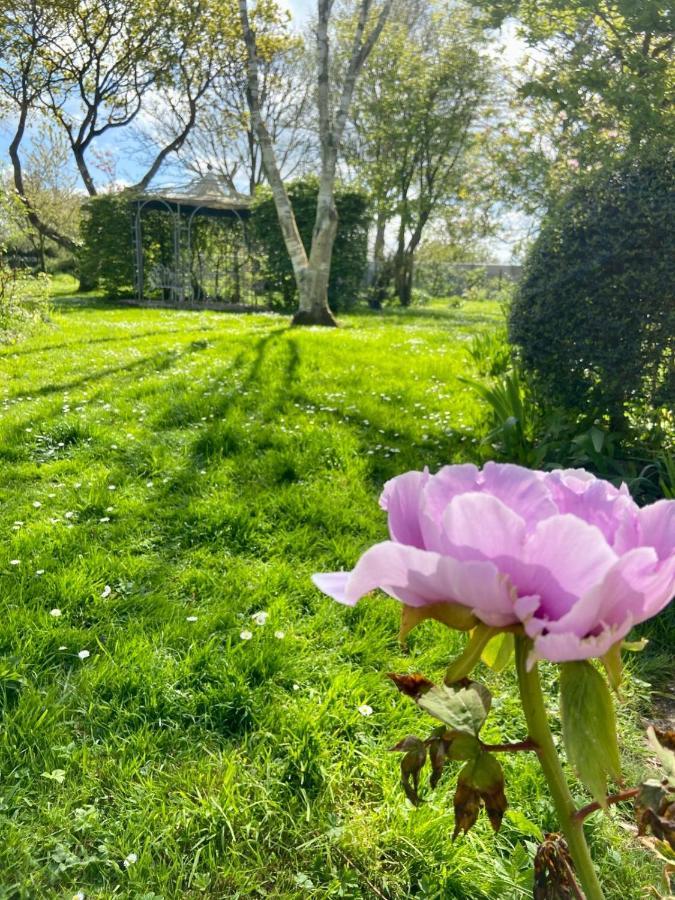 La Ptite Normande Bed and Breakfast Saint-Germain-de-Tournebut Buitenkant foto